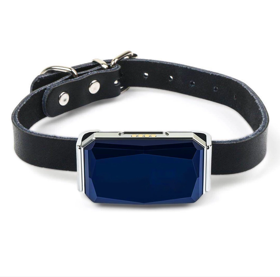 Detachable GPS pet tracking collar