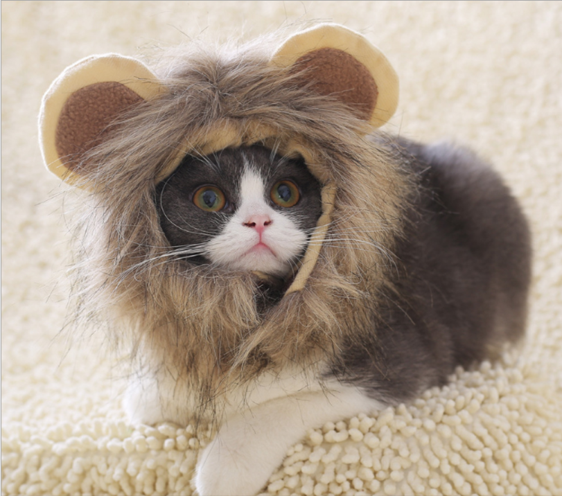 Lion-shaped Halloween pet hat